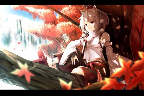 Обои на рабочий стол Inubashiri Momiji / Инабушири Момидзи из игры Tohou Project / Проект Восток
