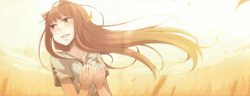 Обои на рабочий стол Horo / Хоро из аниме Волчица и пряности / Spice and Wolf, art by Ayakura Juu
