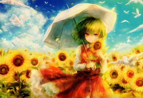 Обои на рабочий стол Kazami Yuuka / Юука Казами из игры Touhou Project / Проект Восток стоит под зонтом с подсолнухом в руке