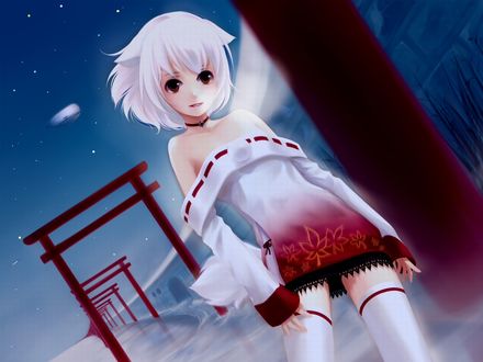 Обои на рабочий стол Inubashiri Momiji / Инабушири Момидзи из игры Tohou Project / Проект Восток