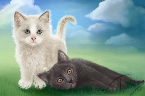 Обои на рабочий стол Маленький белый котенок стоит и рядом серый котенок лежит, автор Trutze