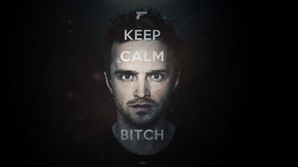 Обои на рабочий стол Джесси Пинкман / Jesse Pinkman, чью роль исполняет Аарон Пол / Aaron Paul, из сериала Во все тяжкие / Breaking bad (Keep, Calm, Bitch)