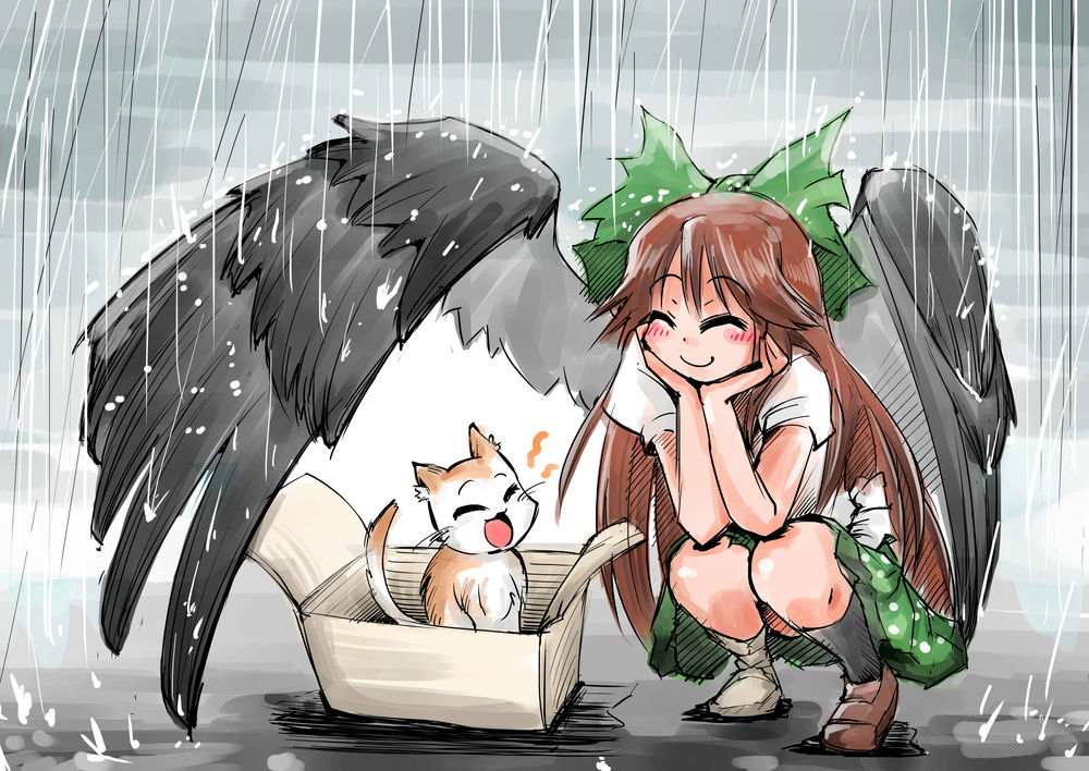 Обои для рабочего стола Utsuho Reiuji / Утсухо Рейуджи из игры Touhou Project / Проект Восток укрывает своим крылом от дождя кошку, сидящую в коробке