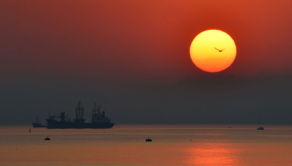 Обои для рабочего стола Сухогрузное судно, плывущее по морю с легкой рябью на фоне серого неба по линии горизонта и ярко светящего солнечного диска с пролетающей на его фоне птицей, автор Олег Пожарков