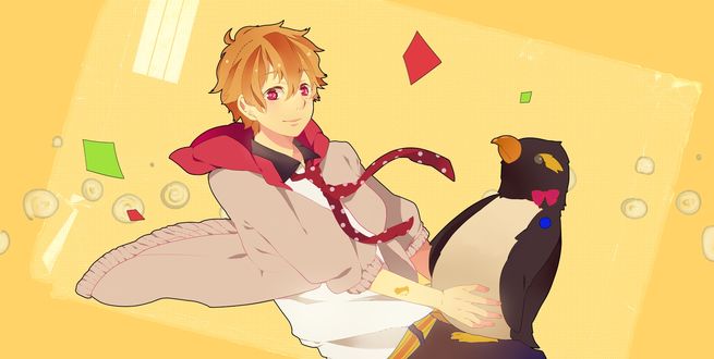 Обои на рабочий стол Хазуки Нагиса / Hazuki Nagisa и хохлатый пингвин из аниме Свободный стиль! / Free!