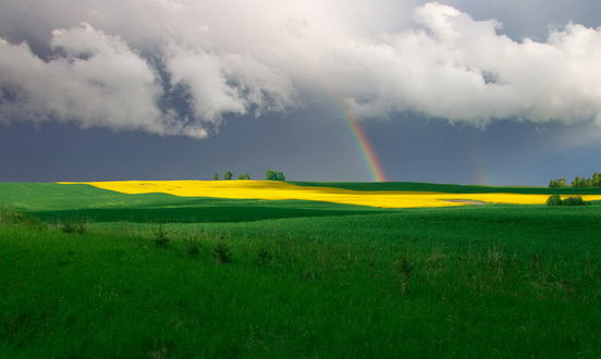 Обои на рабочий стол Красивая двойная радуга появившаяся на грозовом небе с белыми кучевыми облаками после прошедшей грозы над полем с ярко-зеленой травой и полоской с желтой травой