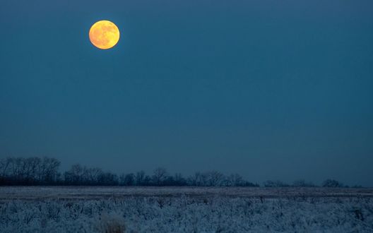 Обои на рабочий стол Полная луна над заснеженным полем
