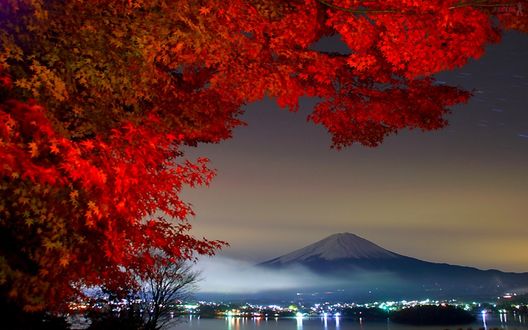 Обои на рабочий стол Гора Фудзияма, Япония / Mount Fuji, Japan со снежной шапкой на пике вершины, небольшим белым облаком на фоне вечернего неба со звездными треками, на переднем плане находится клен с густой красной лиственной кроной
