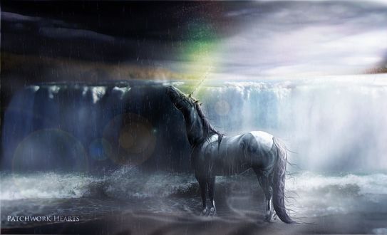 Под единорог. Одинокий Единорог. Лошадь под дождем. Лошадь на фоне водопада. Лошади возле водопада.