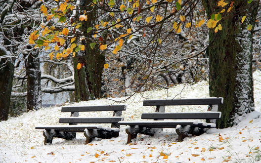 Фото на скамейке зимой