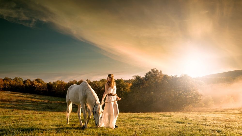 Обои для рабочего стола Девушка идет в поле рядом с белой лошадью