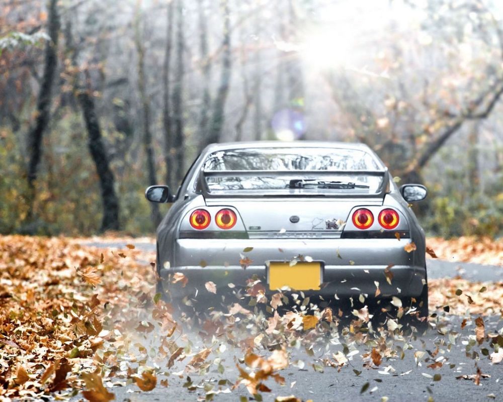 Обои для рабочего стола Nissan Skyline GT-R / Ниссан Скайлайн едет по дороге усыпанной листвой
