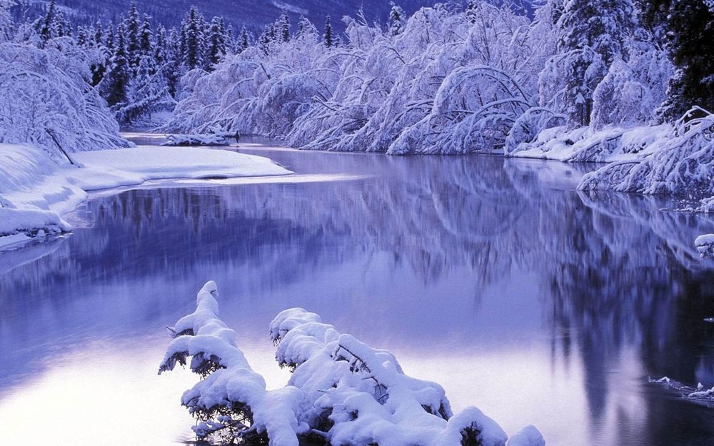 Обои для рабочего стола Незамерзающая зимой река, проходящая по лесной чащобе с берегами, покрытыми толстым слоем снега и деревьями, покрытыми инеем и хлопьями снега