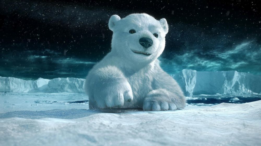 Обои для рабочего стола Маленький пушистый, полярный медвежонок поднимает косматую лапу и улыбается