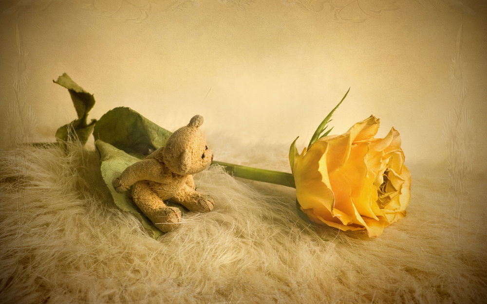 Обои для рабочего стола Игрушечный медвежонок сидит рядом с веточкой желтой розы