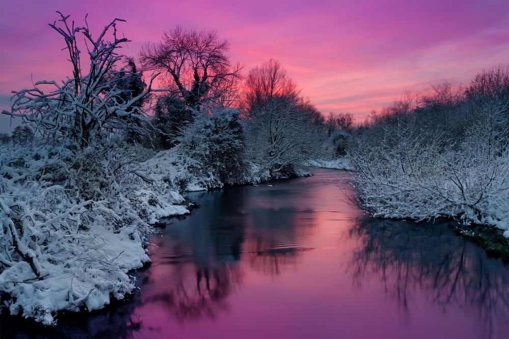 Обои для рабочего стола Розовый закат на вечернем небе отразился в неширокой речке, поверхность которой начала покрываться тонким слоем льда, протекающей среди заснеженных кустов и деревьев