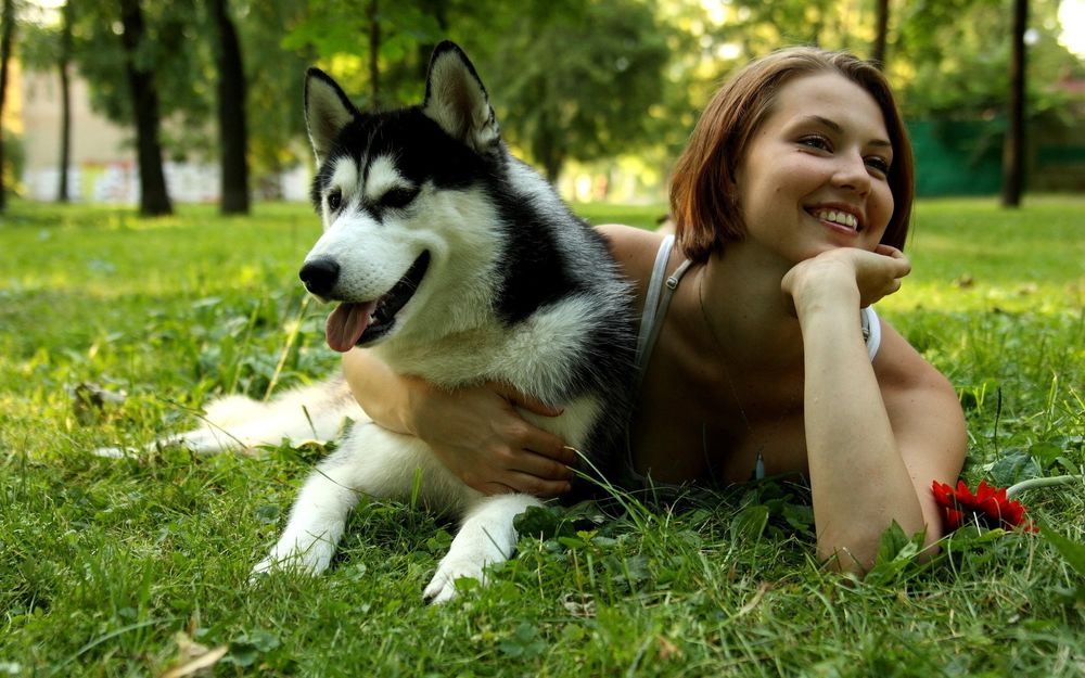 Обои для рабочего стола Улыбающаяся девушка обняв собаку породы хаски лежит на траве