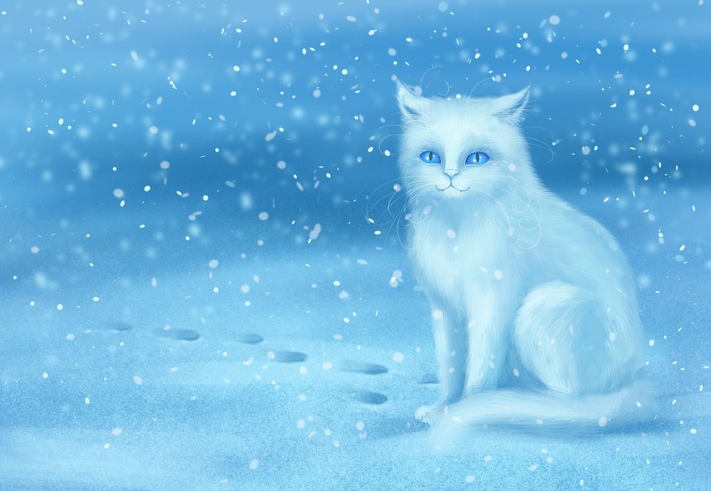 Обои для рабочего стола Белая кошка с голубыми глазами сидит на снегу