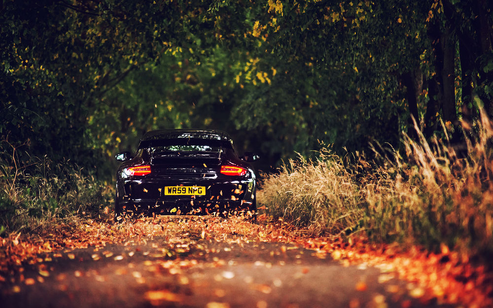 Обои для рабочего стола Porsche 911 GT3 / Порше 911 ГТ3 черного цвета уносящийся вдаль по дороге окутанною листвой