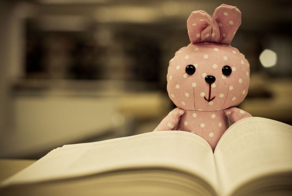 Обои для рабочего стола Игрушкечный кролик около книги