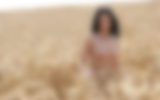 Обои для рабочего стола Обнаженная, черноволосая девушка стоит в пшеничном поле