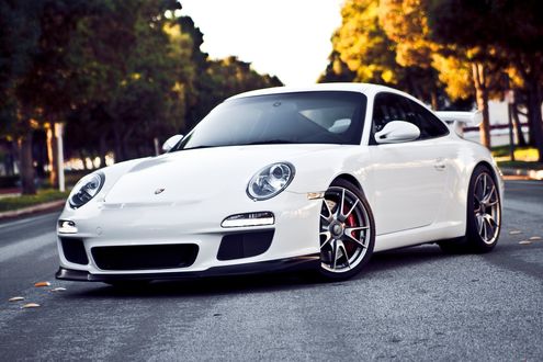 Обои на рабочий стол Porsche 911 / Порше 911 белого цвета на фоне природы