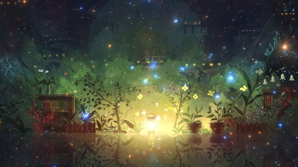 Обои на рабочий стол Книжные полки и цветы в горшках в причудливом мерцании и свете лампы