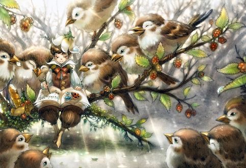 Обои на рабочий стол Мальчик сидит на ветке и пишет ноты в книгу, рядом с ним сидят птицы