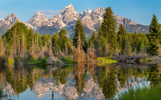 Обои на рабочий стол Отражение в реке леса на фоне высоких гор вдали и голубого неба