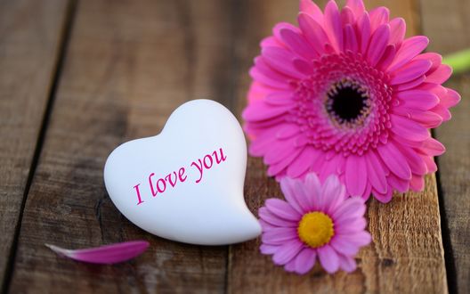 Обои на рабочий стол Два цветка и сердечко (Love you / Я тебя люблю на деревянной поверхности)