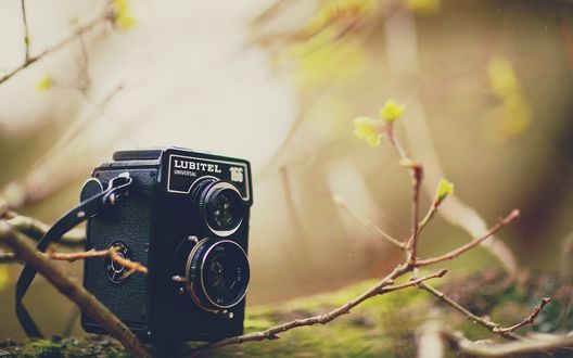 Обои на рабочий стол Фотоаппарат марки Lubitel 166 стоит на толстой ветке дерева