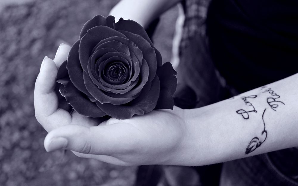 Обои на рабочий стол Девушка с тату на запястье держит в руках черную розу,  обои для рабочего стола, скачать обои, обои бесплатно