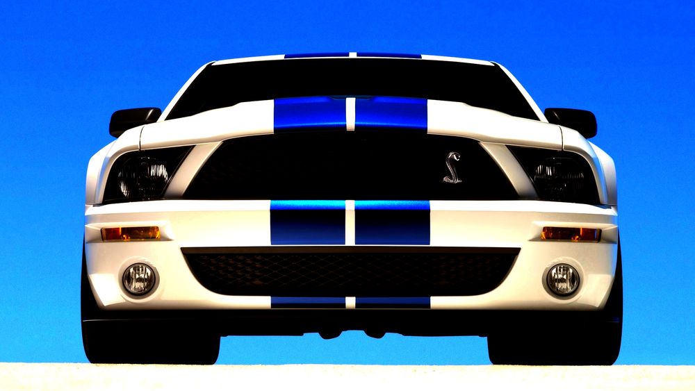 Обои для рабочего стола Ford Mustang Shelby / Форд Мустанг Шелби бело-синего цвета