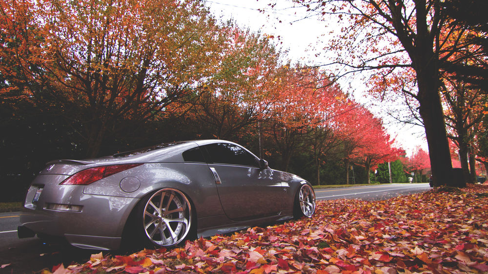 Обои для рабочего стола Легковой автомобиль, стоящий у газона, покрытого опавшими осенними листьями