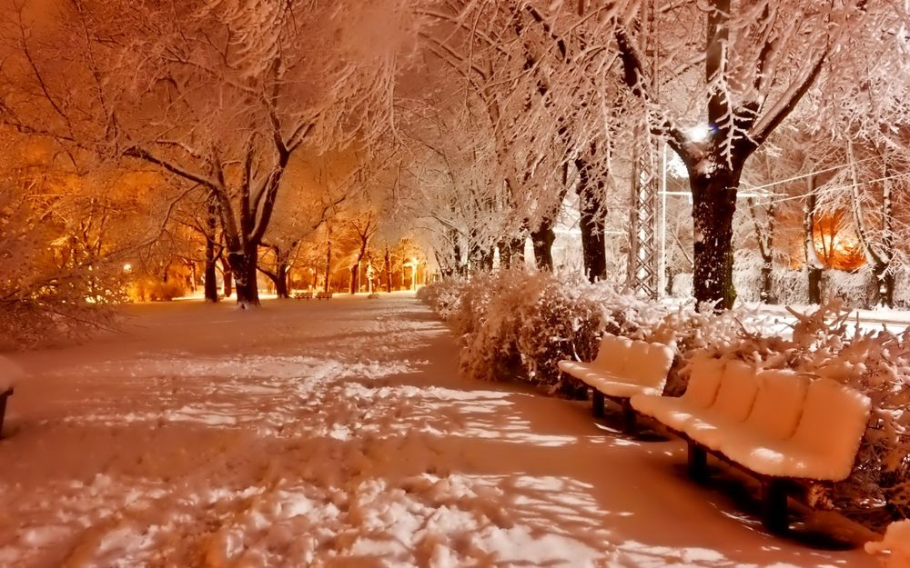 Аллея со скамейками рисунок