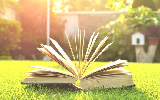 Обои на рабочий стол Открытая книга лежит на траве