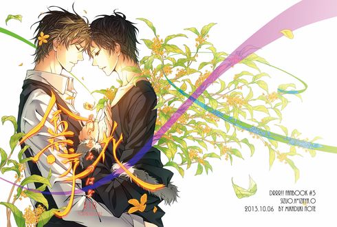 Обои на рабочий стол Heiwajima Shizuo / Хейваджима Шизуо и Orihara Izaya / Орихара Изая из аниме Durarara!/Дюрарара, арт мангаки sahato