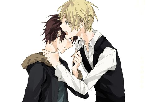 Обои на рабочий стол Heiwajima Shizuo / Хейваджима Шизуо и Orihara Izaya / Орихара Изая из аниме Durarara!/Дюрарара, арт мангаки roserose-kiri