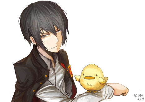 Обои на рабочий стол Hibari Kyoya / Хибари Кея, на руке которого сидит его птичка Hibird / Хиберд, аниме Katekyo Hitman REBORN!/Репетитор киллер Реборн!
