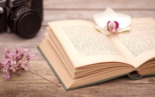 Обои на рабочий стол На страницах открытой книги лежит цветок орхидеи, рядом лежит веточка с цветами и стоит фотоаппарат