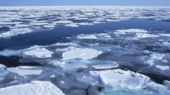 Обои на рабочий стол Куски льда, плавающие на поверхности моря