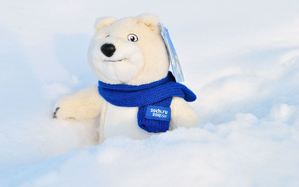 Обои для рабочего стола Белый плюшевый медведь в синем шарфе с эмблемой олимпийских игр в Сочи (sochi. ru 2014) в снегу