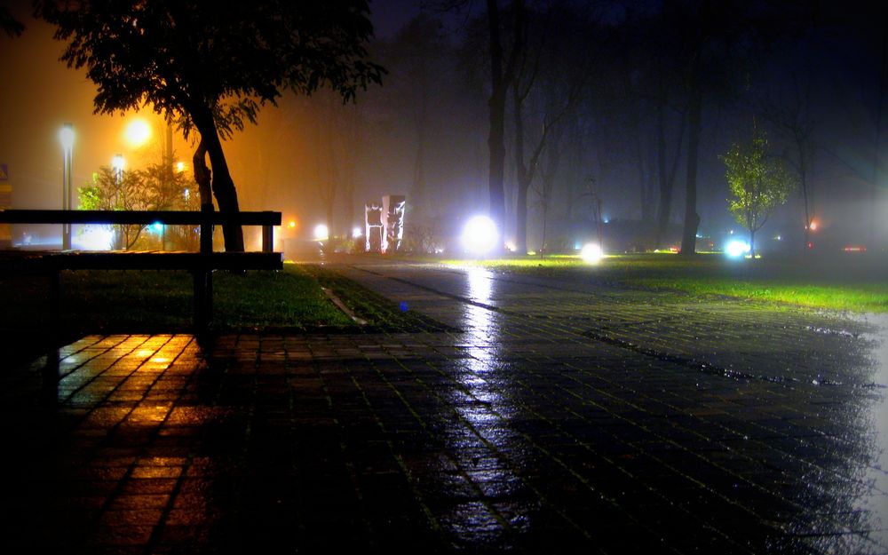 Обои для рабочего стола Мокрый от дождя парк в ночном тумане