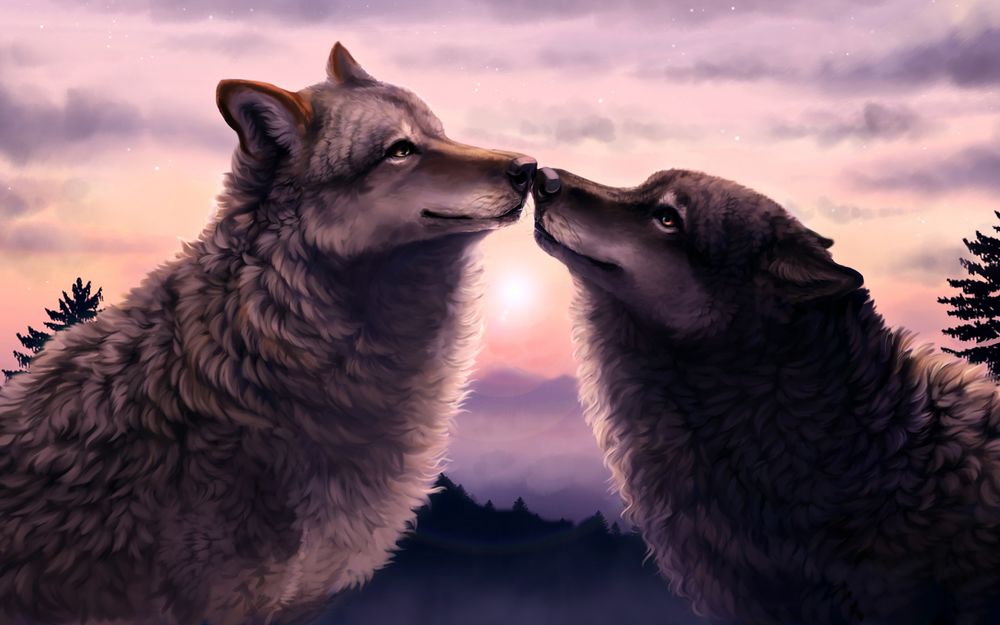 Обои для рабочего стола Волк и волчица прижались носами друг, автор KFCemployee к другу