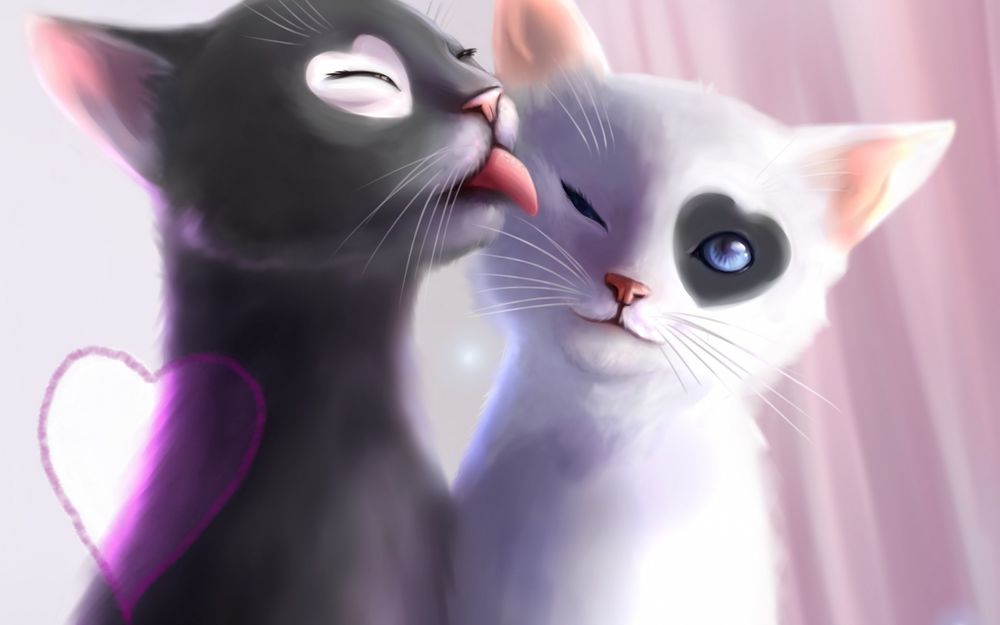 Обои для рабочего стола Два котенка: Серый и белый с пятнышками в виде сердечка на глазах