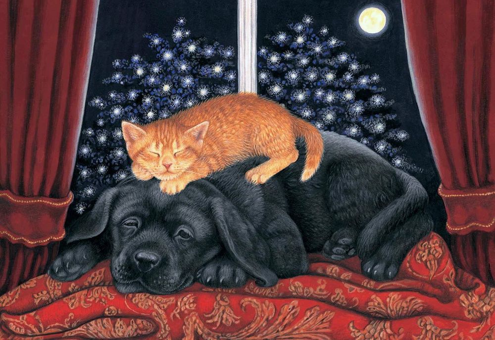 Обои для рабочего стола Рыжая кошка спит на черной собаке