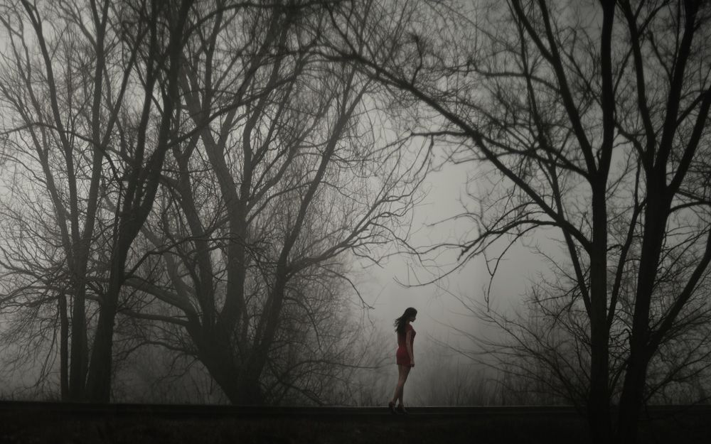 Обои для рабочего стола Девушка идет по рельсам на фоне деревьев в густом тумане, фотограф Давид Д