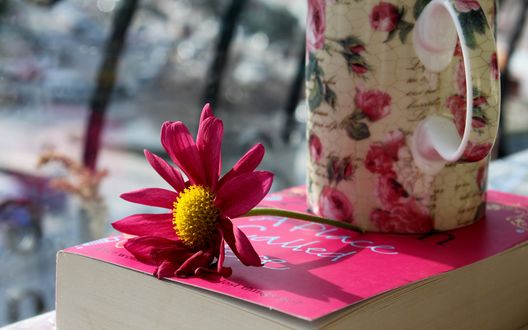 Обои на рабочий стол Розовый цветок лежит на книге, рядом стоит чашка