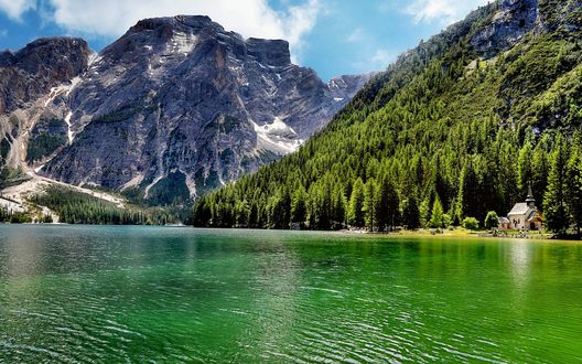 Обои на рабочий стол Озеро на фоне елей в горах, Италия / Italy