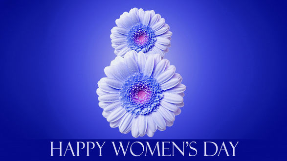 Обои на рабочий стол Два цветка герберы, в виде восьмерки на синем фоне (Happy womens day / Счастливого женского дня)